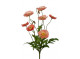 Poppy 35cm Abricot