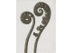 Poster 30x40cm Dryopteris filix