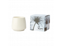 Scented Candle White Sandalwood
