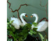 Swan ornament white feathers 10cm