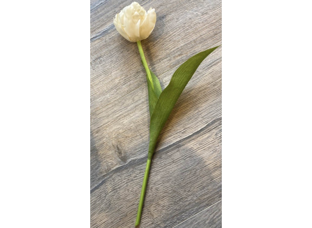 Tulipan 36 cm Creme