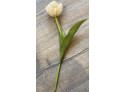 Tulip 36 cm Creame