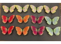 Butterflies w clip 12-pc