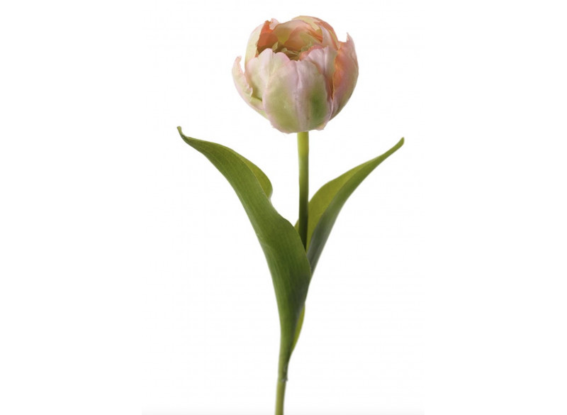 Tulipan 36cm Pink