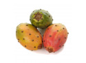 Cactus Fruit Ø 5,5cm
