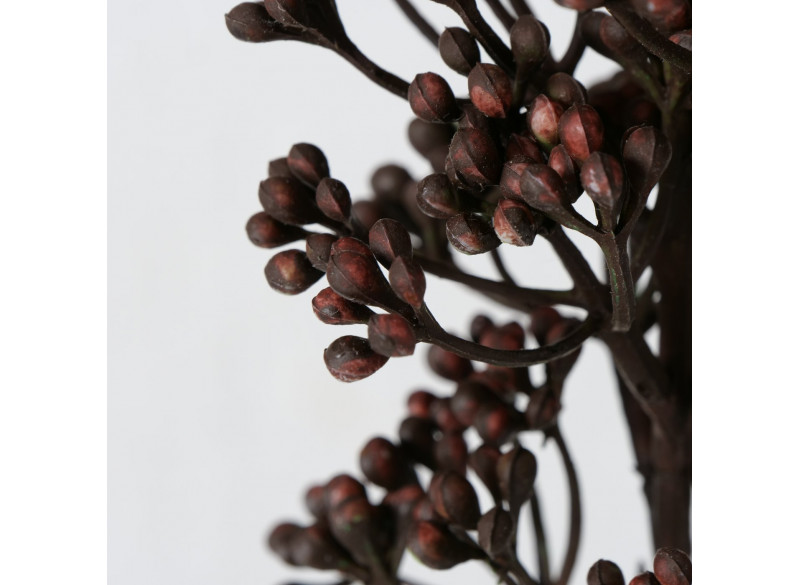Deko Acacia H54cm Mørkebrun