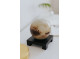 Moving Globe Pluto