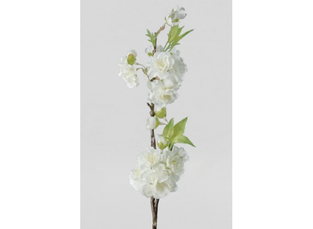 Cherry Blossom 45cm, White