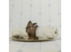 Napkin Ring wood - Rabbit