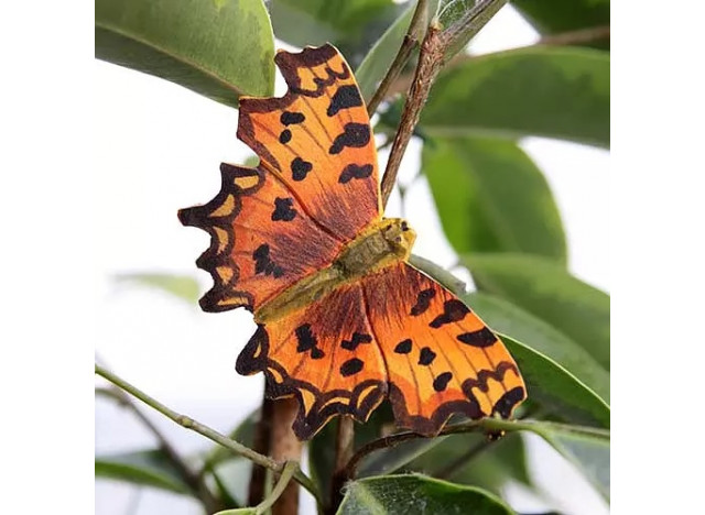 Magnet Butterfly Orange