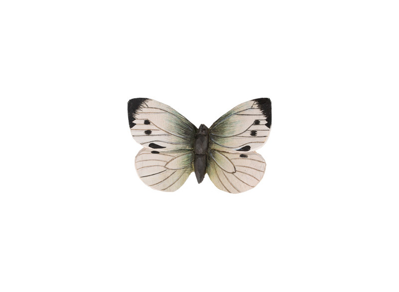 Magnet Cabbage Butterfly