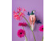 Wall art Rani Bird