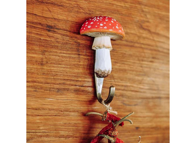 Hook Red fly agaric