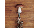 Hook Karl Johan mushrooms