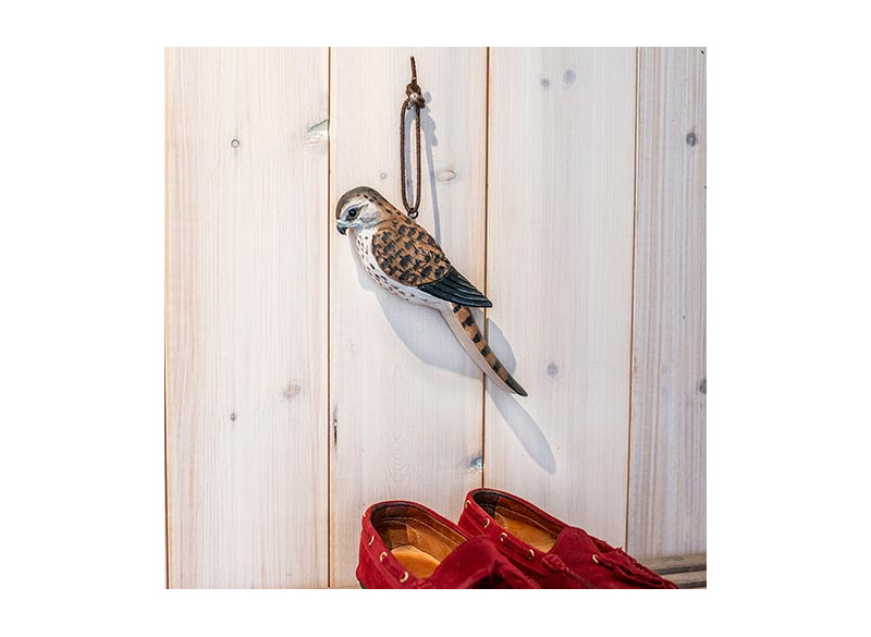 Shoehorn Peregrine falcon