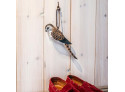 Shoehorn Peregrine Falcon