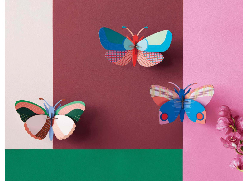 Wall deko Delias Butterfly