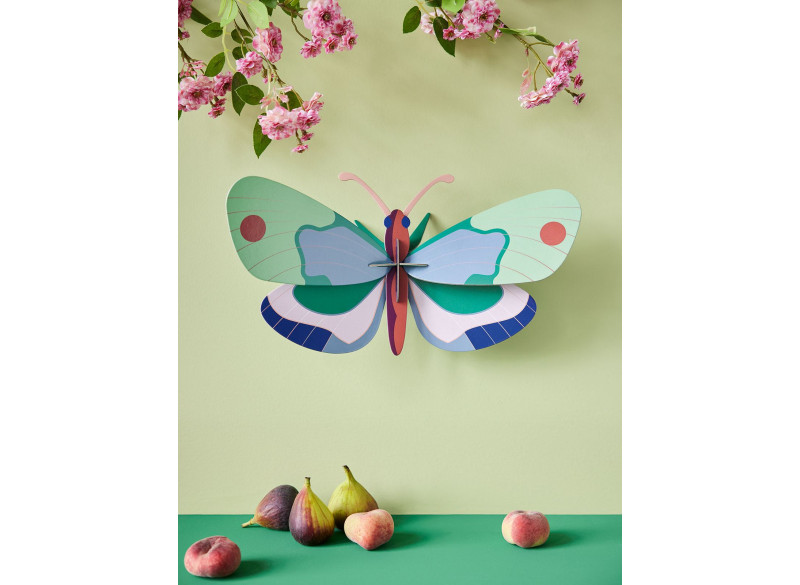 Giant Forest Butterfly