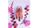 Giant Lady Beetle
