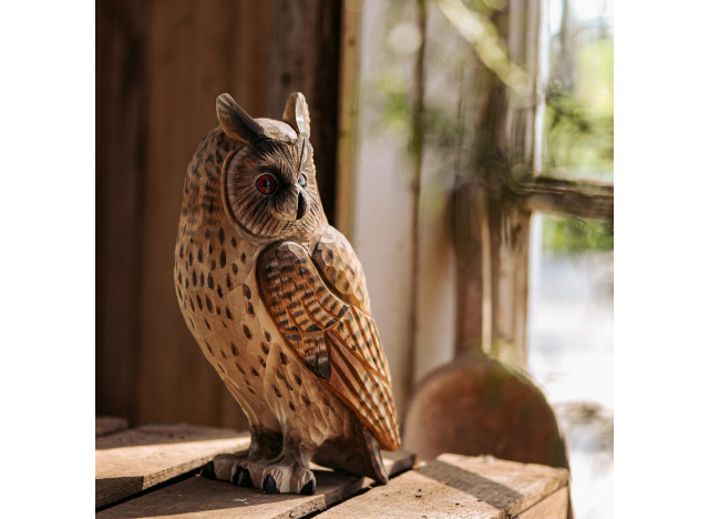 Dekobird Long-eared owl