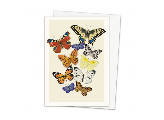 Greeting Cards Butterlies