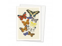 Greeting Cards Butterlies