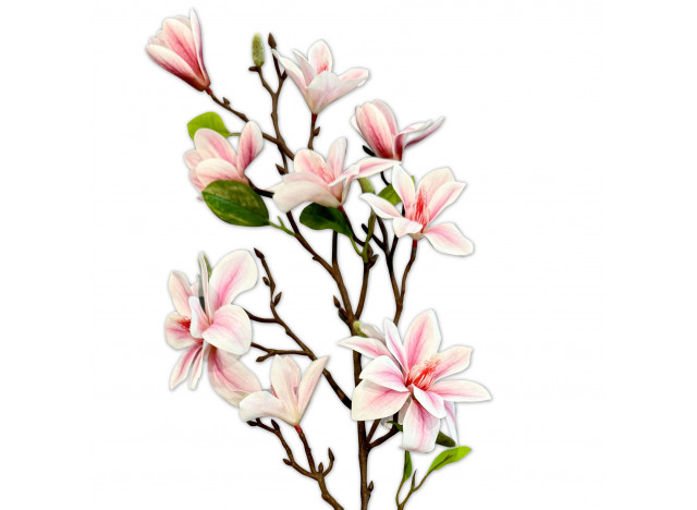 Magnolia branch big 75 cm