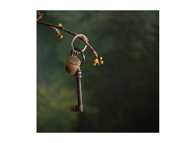 Keyring in linden wood