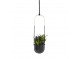 Plant holder Bolo with hook