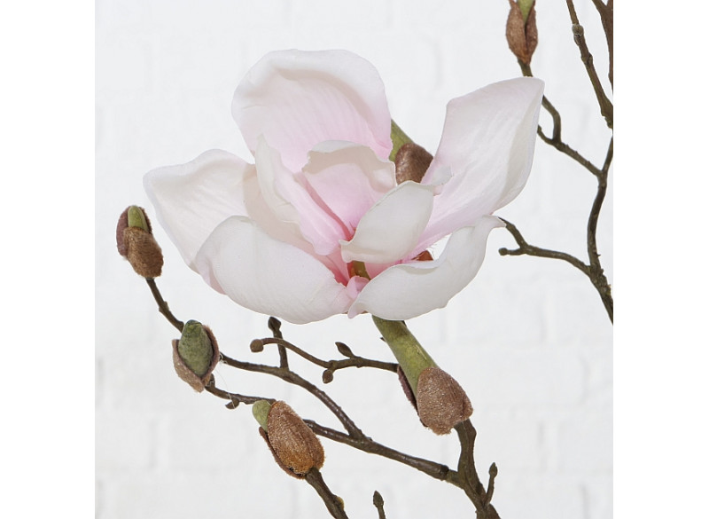 Decorative branch Magnolie, H 89 cm