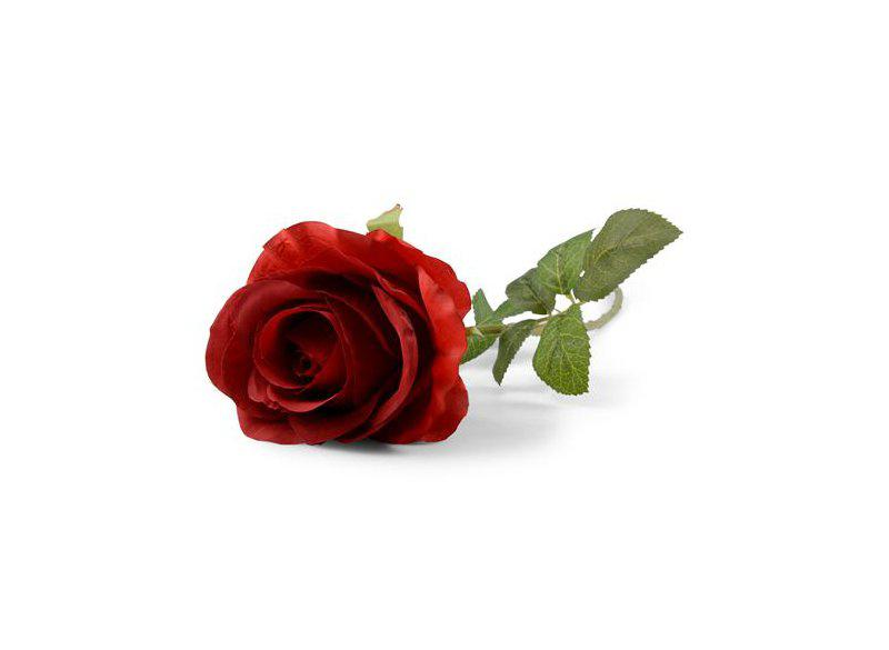 Rose rød 57cm