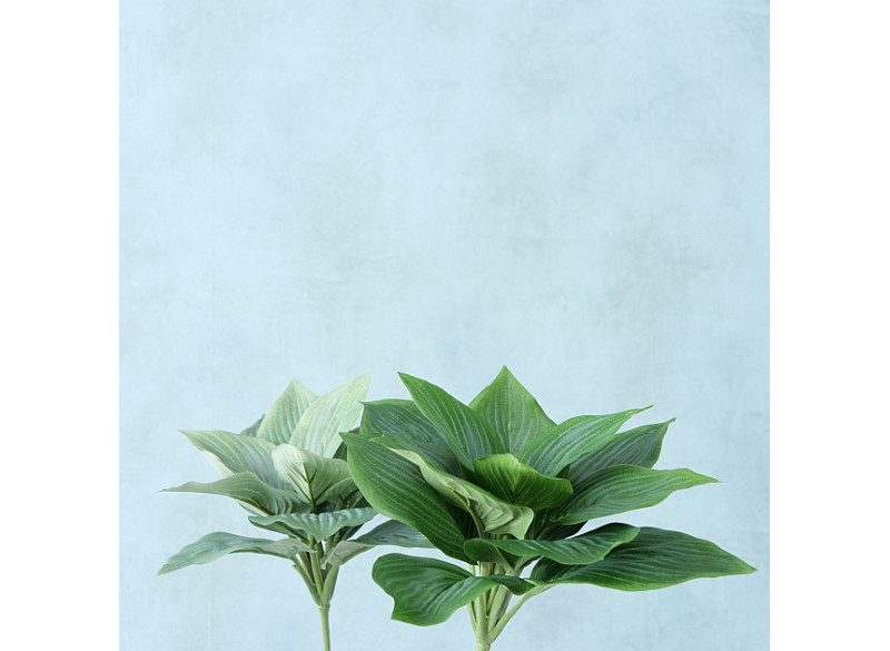 Plante Grøn 15cm 2ass