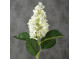 Artificial hydrangea White 98cm