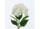 Hydrangea White 84cm