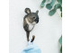 DecoHook Koala