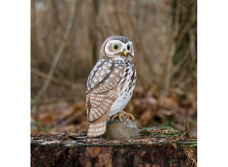 DecoBird Little Owl