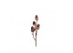 Twig with acorns 30 cm