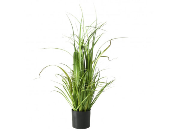 Plante i potte Grass 2ass H80cm - Image 2