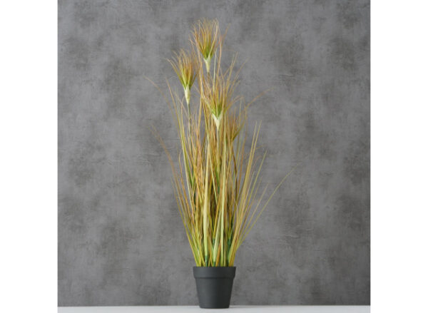 Græs H98cm Onion