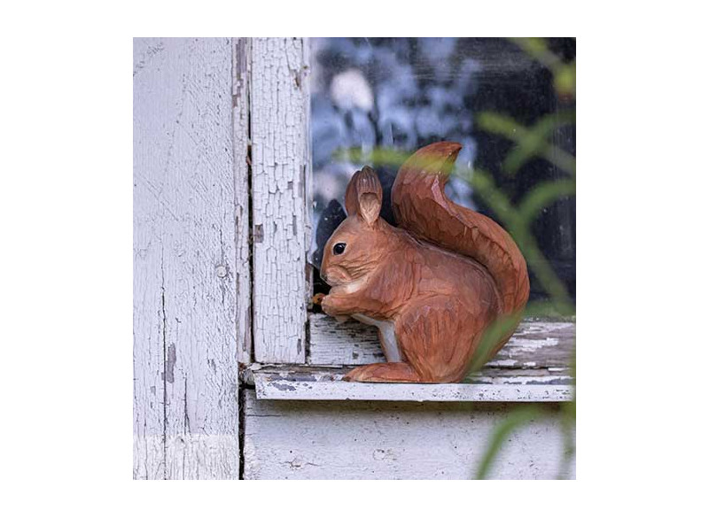 Dekodyr Egern - Image 3