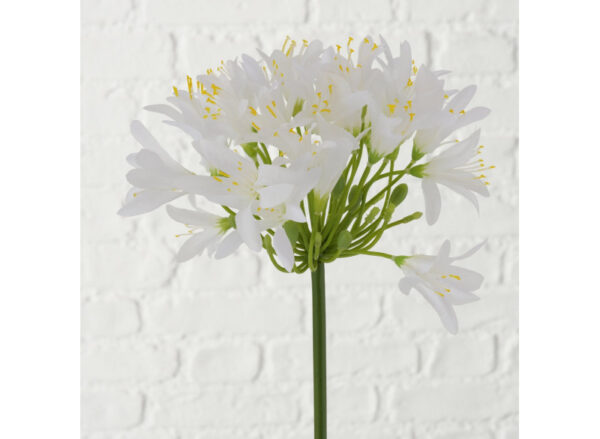 Skærmlilje Lilla-Hvid 80cm - Image 3