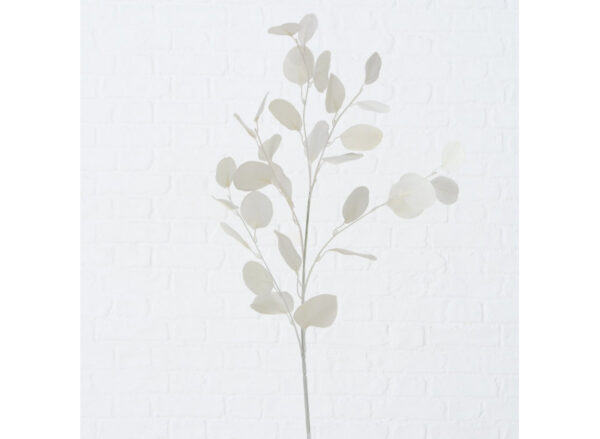 Eucalyptus Deko Hvid - Image 2