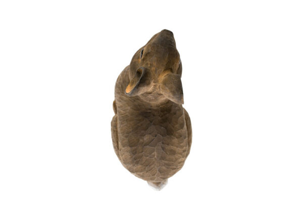 Dekodyr Vildkanin - Image 3
