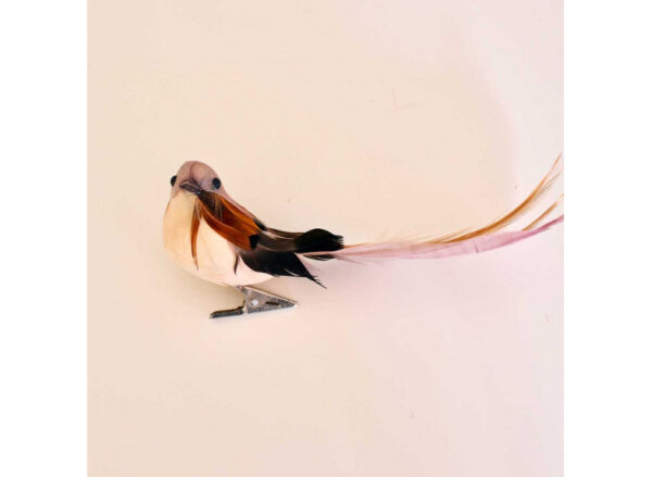Fugl RoseBrun mix m klemme 13 cm - Image 3
