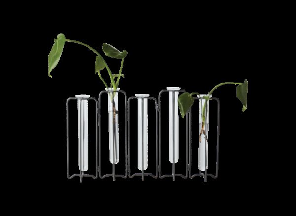 Vase Olivia m 5 reagensglas Large