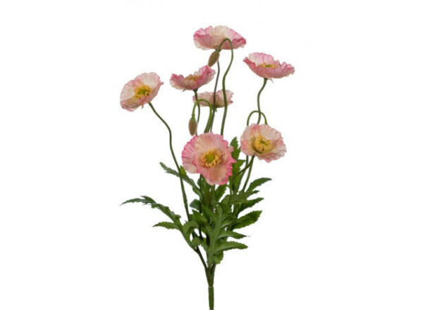 Valmue rosa 35 cm