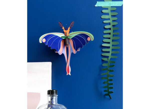 Butterfly Blue Comet - mini