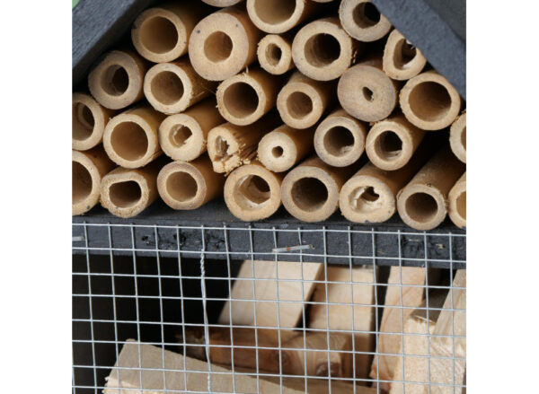 Insekthotel Bieny H33cm - Image 3
