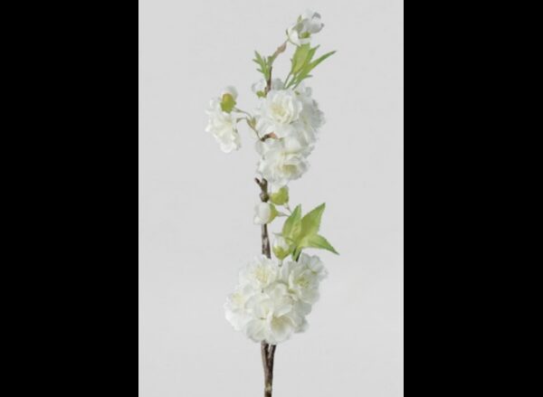 Kirsebær kvist 45cm, hvid