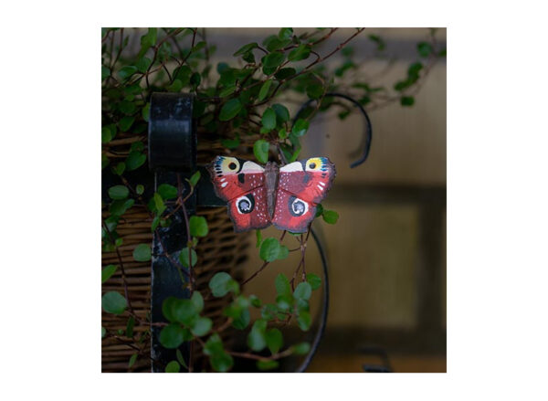 Magnet Sommerfugl Peacock Eye - Image 3